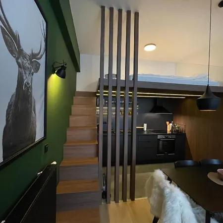 Apartman Jelen, Skijanje Iz Apartmana Apartman *
